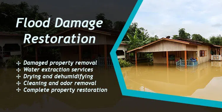 #bslide1 logo-image - banner-1-wgr-1