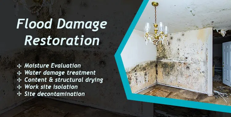 #bslide2 logo-image - banner-2-wgr-1