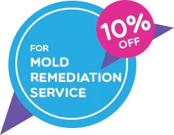 Coconut Creek Restoration Company Coconut Creek, FL 954-302-7165 Coconut Creek Restoration Company Coconut Creek, FL 954-302-7165 - sid-coupon-wdr-1